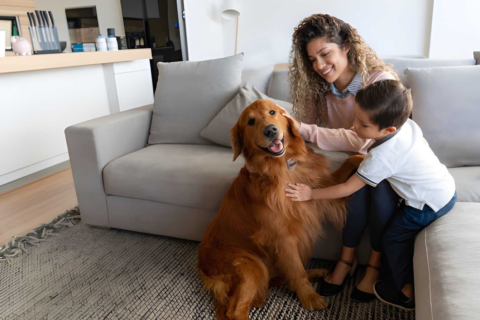 pet quality of life assessment