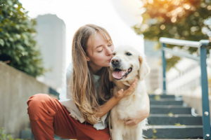 Dog euthanasia Mooresville