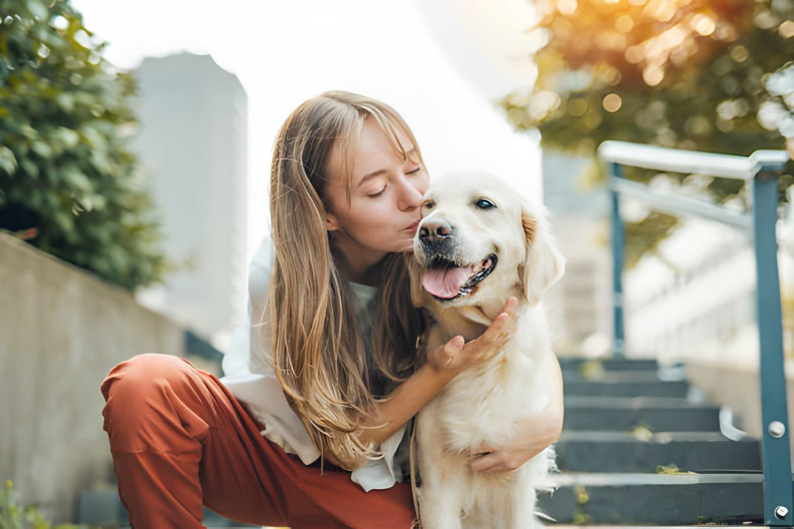 Dog euthanasia Mooresville